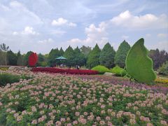 -石家庄市植物园