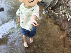 -滴水岩森林公园