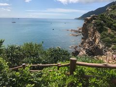 -杨梅坑