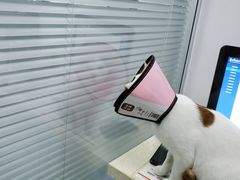 -莘程宠物医院(金山店)