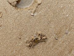-青岛石老人海水浴场