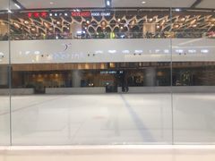 -TheRink大零溜冰场(IFS国金中心店)