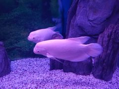 -常州海昌海洋探索馆