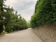 -开元溶洞