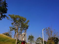 -白石龙音乐公园