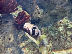 -福州罗源湾海洋世界旅游区