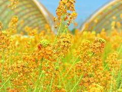 -中国天府农业博览园