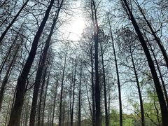 -蜀冈西峰生态公园