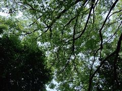 -广州市白云山风景名胜区
