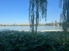 -济南大明湖景区
