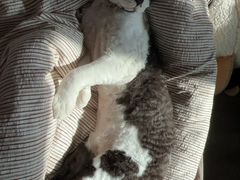 -天津前进宠物医院(前进道店)