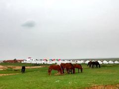 -敕勒川草原文化旅游区