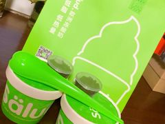 -Salud撒露欧洲冻酸奶(北苑上品店)