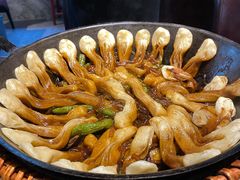 -华盛园卷子王农家菜水库鱼