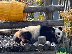 -大连森林动物园