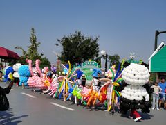 -荷兰花海