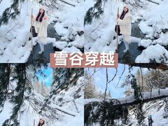 -峡谷浮石林景区