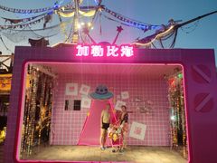 -重庆海昌加勒比海水世界