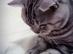 -云川台球(马甸店)