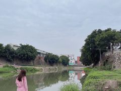-坪山湿地公园