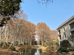 -河南省黄河迎宾馆