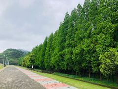 -南京金牛湖风景区