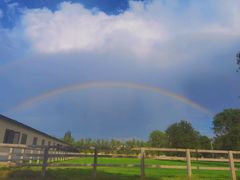 -北京群众马术培训基地
