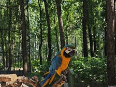 -北京野生动物园