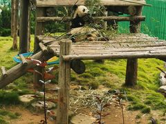 -西霞口神雕山野生动物世界