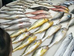-王四营海鲜市场