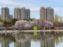 -太阳宫公园