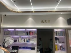 -MODEL SAGA名媛世家