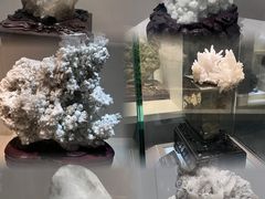 -安徽省地质博物馆