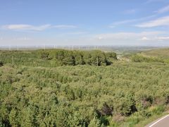 -草原天路(张北县)