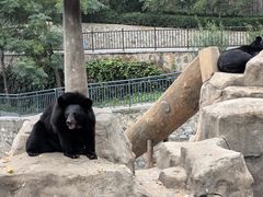 -石家庄市动物园