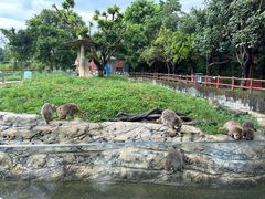 -东莞香市动物园