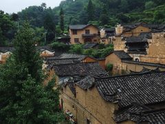 -杨家堂村