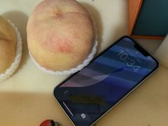 -老袁家蜜桃农场·阳山水蜜桃