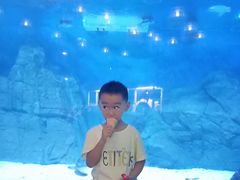 -烟台海昌鲸鲨海洋公园