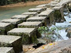 -广州白江湖森林公园