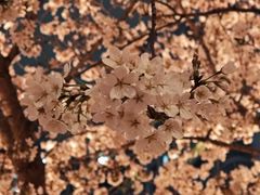 -西北湖绿化广场