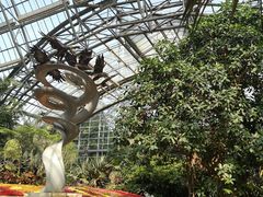-南山植物园