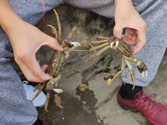 -乡乐园蟹庄·阳澄湖农家乐