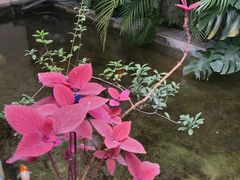 -漫笙舍Manse·咖啡·民宿