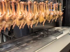 -三强鸽子(中原路店)