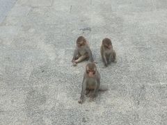 -重庆云阳龙缸景区