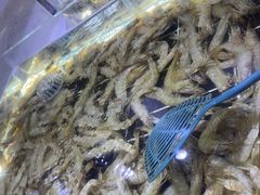 -聚盛源蒸汽海鲜火锅烤肉自助(巨川金海岸购物广场店)