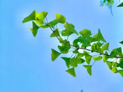 -南山风景名胜区