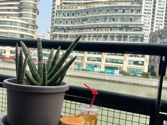 -nodcafe(M50创意园店)