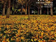 -莲湖公园